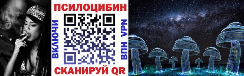 закладка  Тырныауз  Галлюциногенные грибы Cubensis 